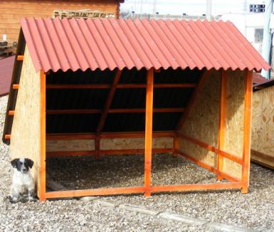 Primăria a achiziţionat 50 de cuşti şi 30 de umbrare pentru adăpostul câinilor comunitari (FOTO)